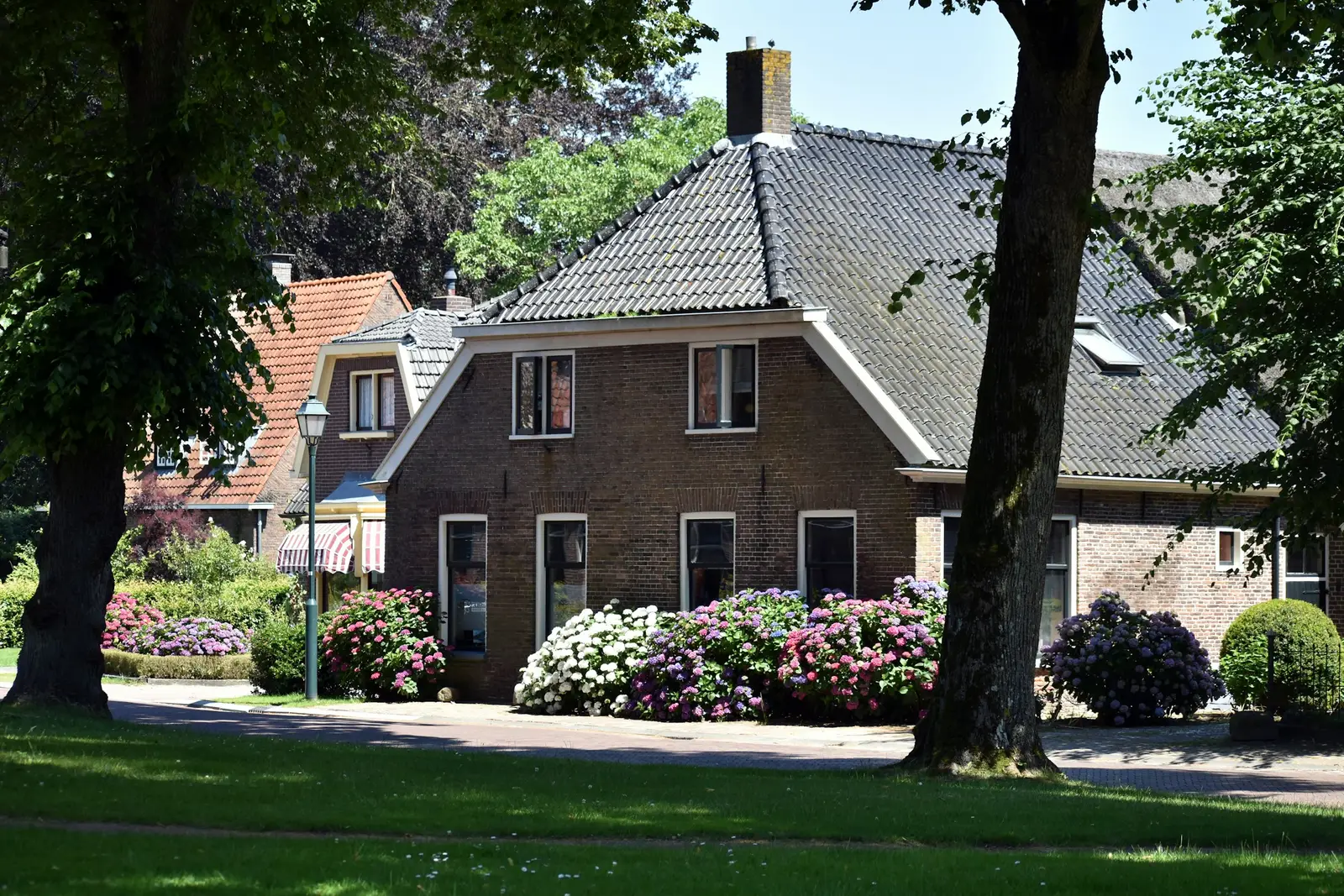 Klinkerhaus mit Hortensien im Vorgarten und altem Baumbestand