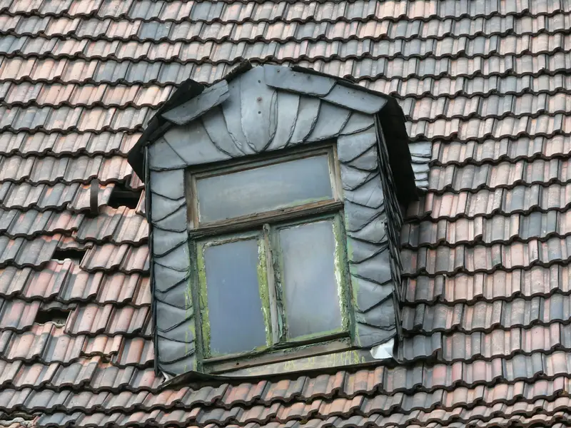 Gaube mit Schieferverkleidung auf einem alten Ziegeldach